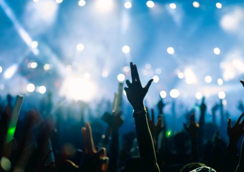 スタジアムでライブを楽しむ人達